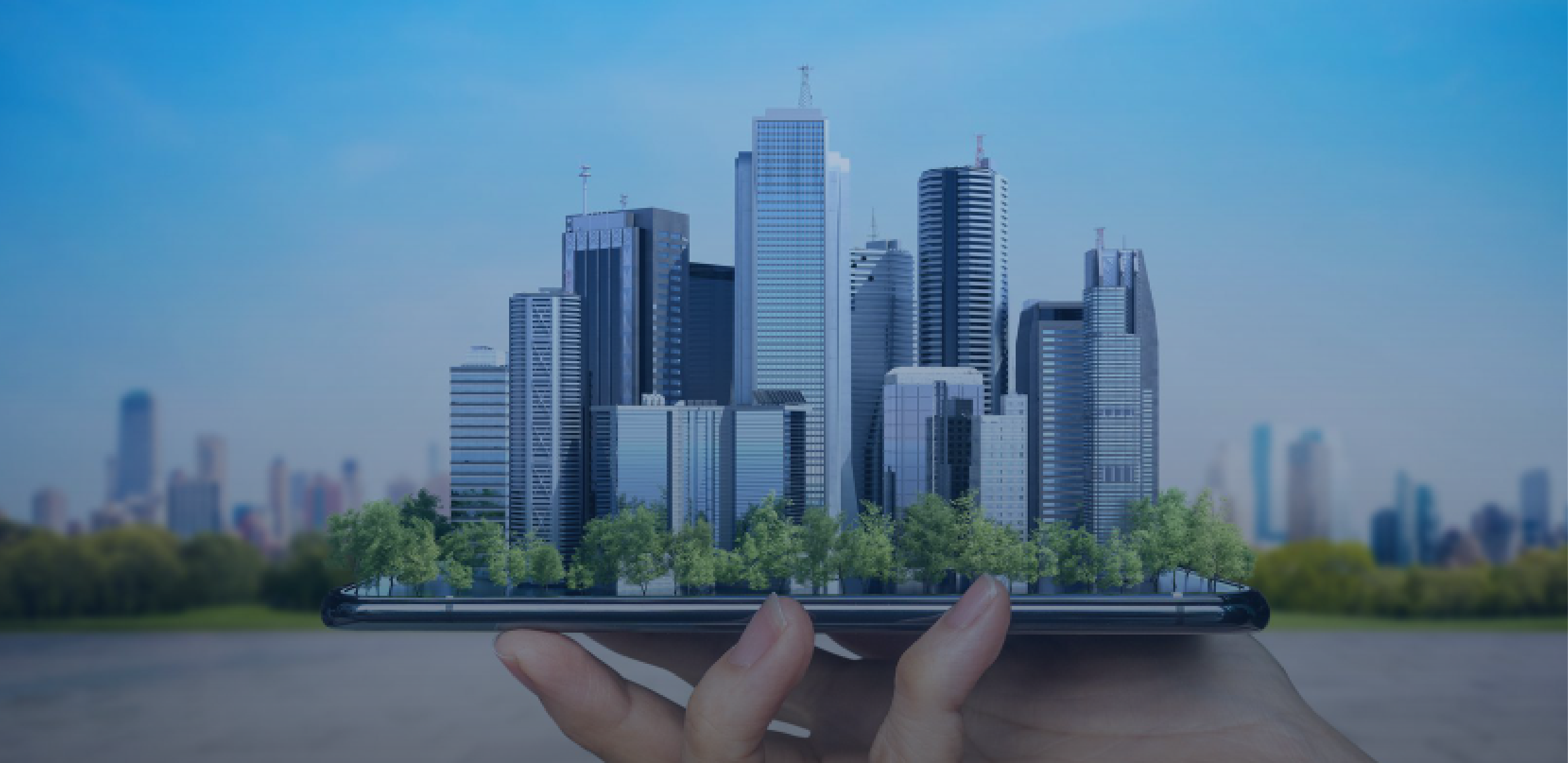 Real Estate Development